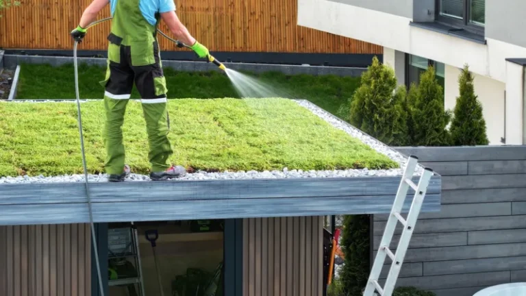 Fördelarna med gröna tak för huset och miljön