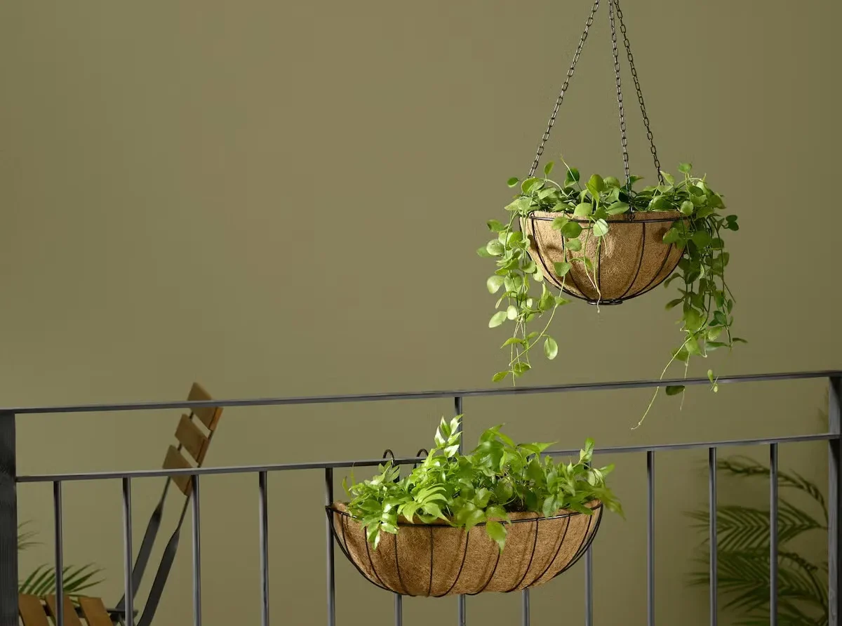 Skapa en färgstark balkonglåda med hängande blommor