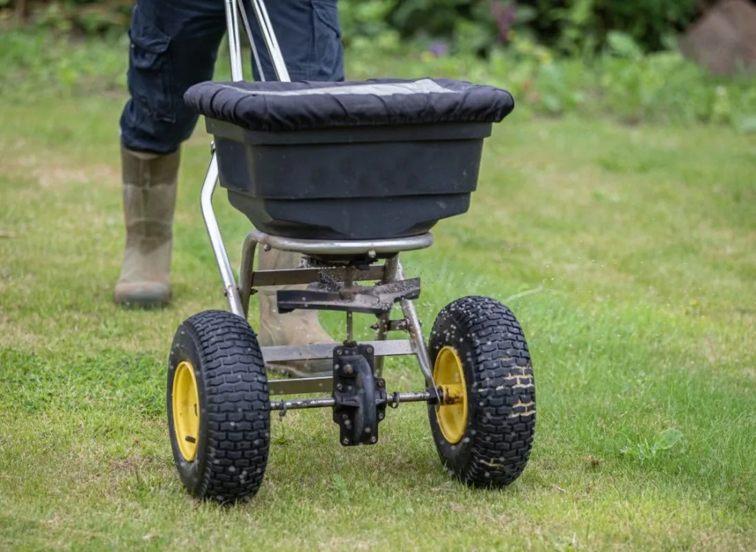 Gödsla gräsmattan på hösten